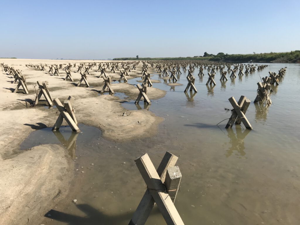 Porcupines in the Ayeyarwady